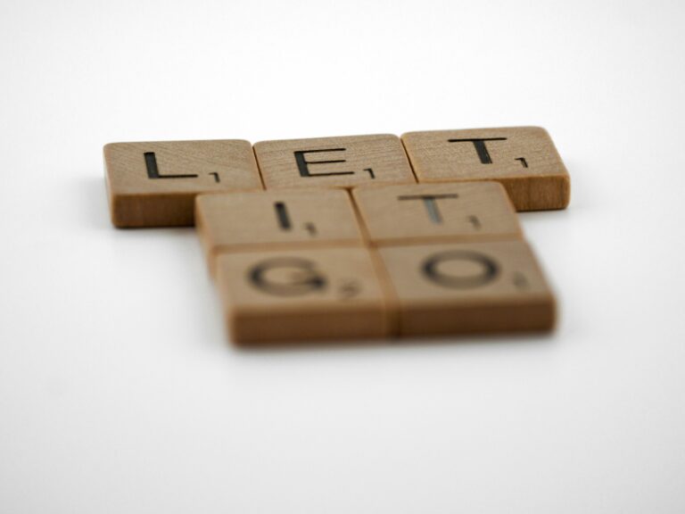 木製ブロック"Let it Go!"